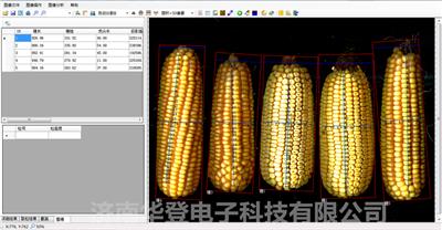 华登电子-玉米考种分析系统-QN-KZ-A-农林专用仪器