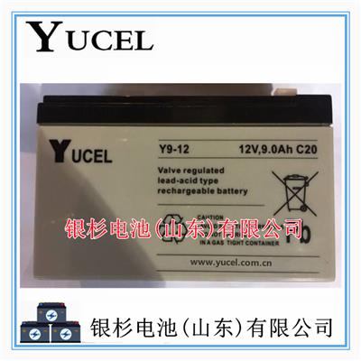 英国YUCEL蓄电池Y9-12主机UPS电源 应急储能12V-9.0AH/C20铅酸电池