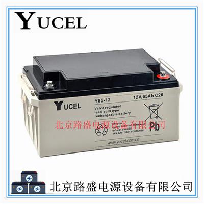 英国YUCEL蓄电池Y65-12机房UPS直流屏 通讯储能用12V-65AH储能电池
