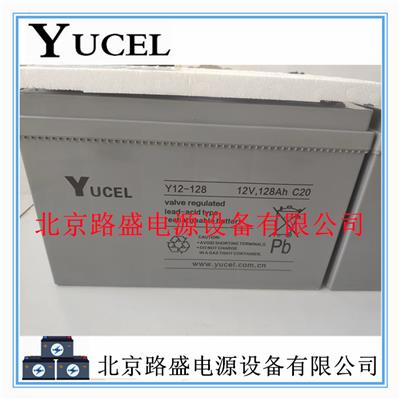 英国YUCEL蓄电池Y12-128通讯基站 机房UPS直流屏用12V-120AH储能电池