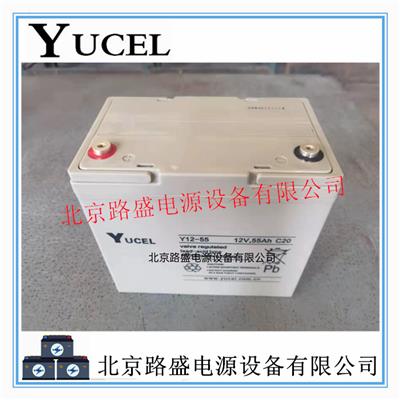 英国YUCEL蓄电池Y12-55应急UPS不间断电源 备用系统用12V-55Ah储能电池