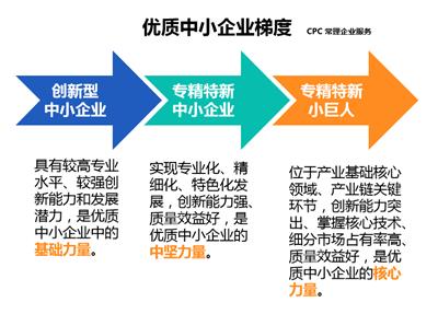 江苏省专精特新中小企业申报 科技项目申报服务