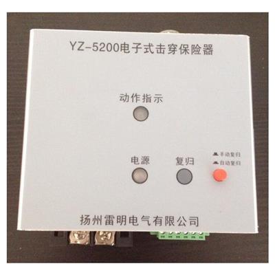 电子式击穿保险 厂家 50A220V