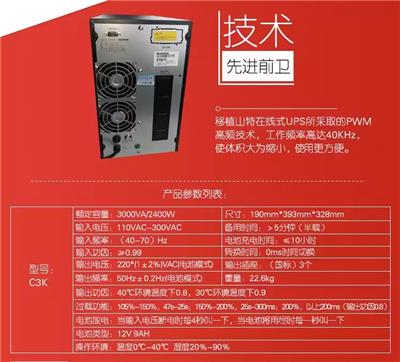 SANTAK深圳山特UPS不间断电源C1K在线式ups电源1KVA/800W CASTLE 1K
