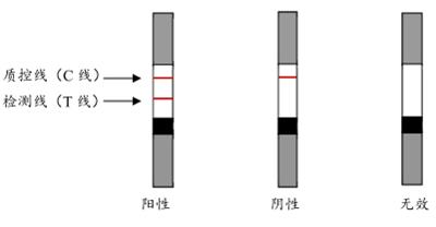 DNA型WLDR8202核酸释放剂哪家好-立博泰业公司
