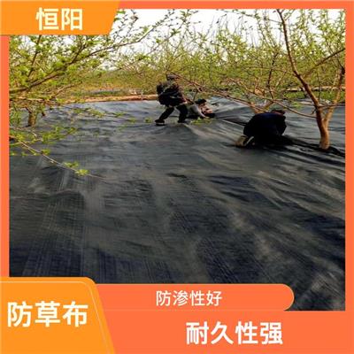 榆林防草布厂家 环保性好 耐化学腐蚀