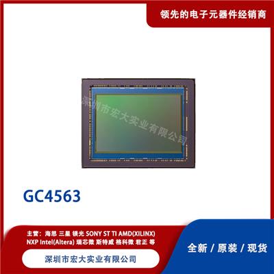 GC4563 视觉图像传感器 CMOS GC格科微 全新原装现货 封装CSP 批次22+