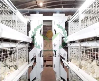 层叠式鸭子笼 立式养鸭设备 鸭笼设备厂家