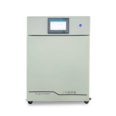 CYSQ-50-III 低氧高氧细胞培养箱三气培养箱