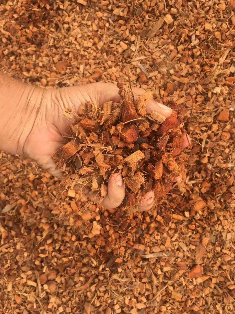 进口粗椰壳粒/销售进口印度脱盐粗椰壳粒的公司