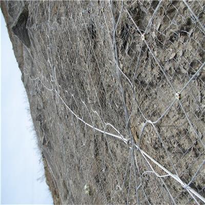 山体防护主动网定制 透水性好 提高边坡的美观性