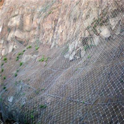 斜坡主动防护网型号 可重复使用 减少土壤侵蚀
