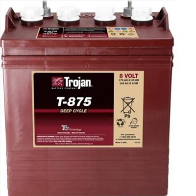 Trojan邱健蓄电池T875洗地机升降机观光车电动车8V170AH电瓶