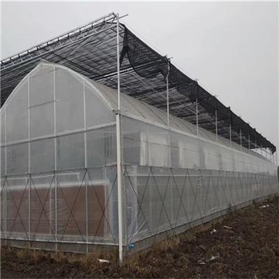 赣州全南 单体温室一亩 草莓大棚工程 中科 ZKQN-01