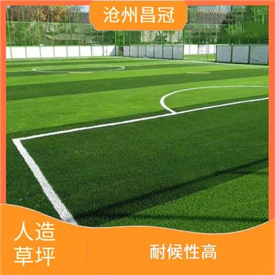 贵州足球场人造草坪定制 全天候使用 防水 防滑