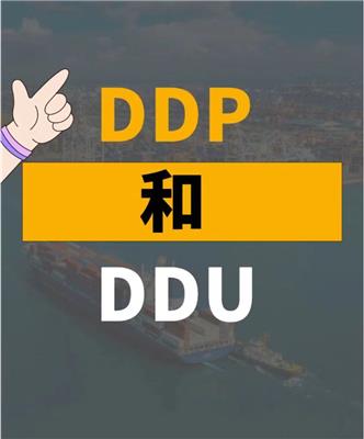 大家对DDP又了解多少呢？