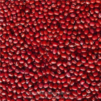 美亚泰凯色选机 生产双通道小型红豆颜色分离机 豆类分选机