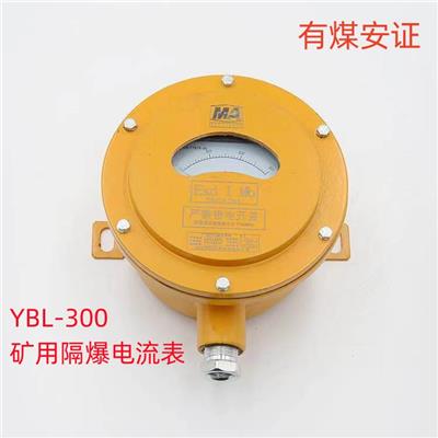 YBL-300矿用隔爆电流表