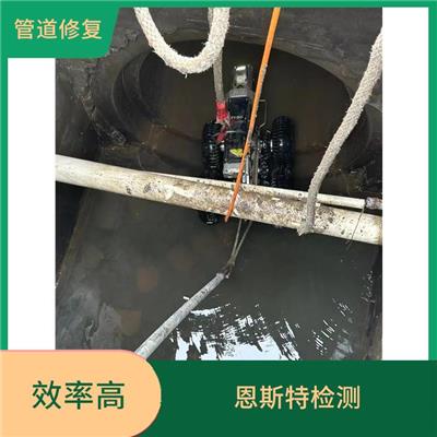 杨浦区管道内衬修复 污水管道修复 随叫随到
