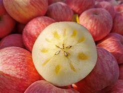 洛川苹果申请提供专业细致的苹果经纪服务