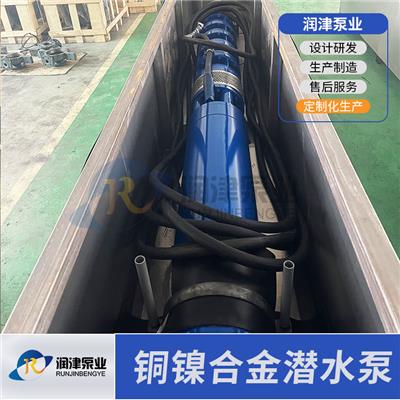 高耐腐不锈钢潜水泵 精铸水利件 材质可定制生产