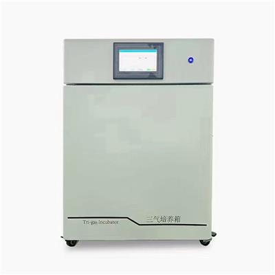 100升三气培养箱CH-SQ50B大容量低氧细胞箱