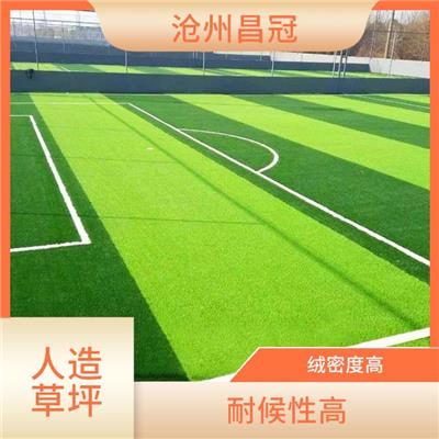 安庆人造草坪生产 耐候性高