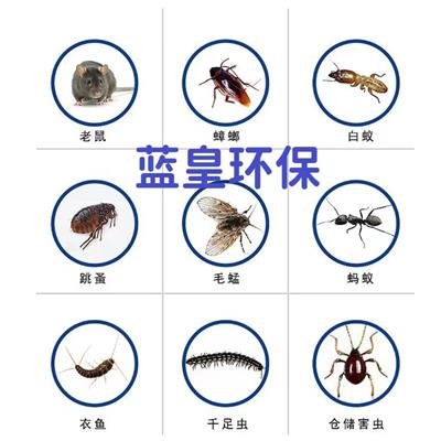 上海嘉定区浴场除蟑螂灭蚊蝇服务 酒吧除四害消杀服务