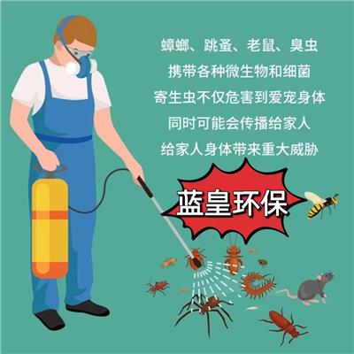 上海连锁店除蟑螂灭鼠四害消杀服务 饭店除白蚁
