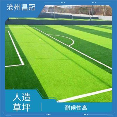 重庆绿化人造草坪定制 适用范围广 色泽鲜艳