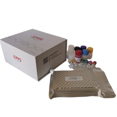 人整合素 ITGβ1 ELISA试剂盒