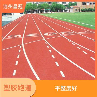 南京塑胶跑道建设供应 适应全天候使用