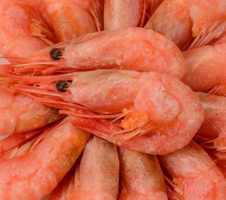 海鲜-冷冻海鲜-供应各种虾类海鲜海产干货