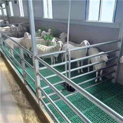 羊床地板批发 羊床塑料漏粪板 羊床漏粪板生产厂家