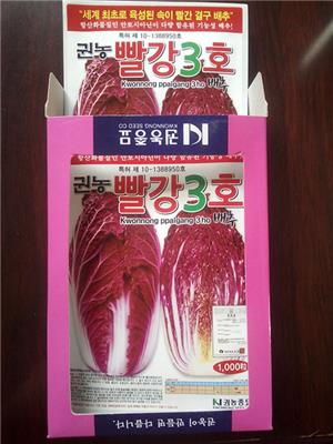 韩国进口杂交一代紫白菜种子