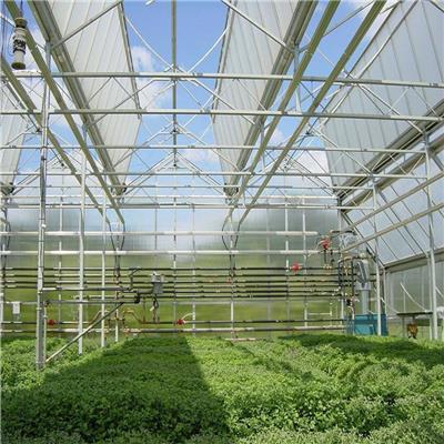 冬季温室大棚怎样提高蔬菜的产量和品质