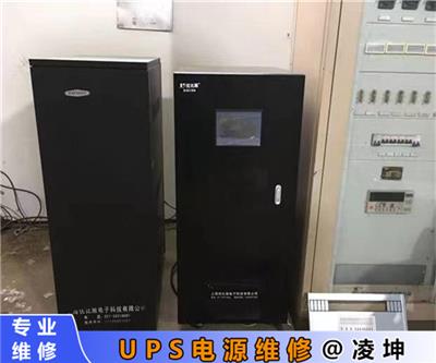 雷迪司在线互动式UPS电源维修规模大