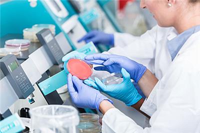 肇庆CNAS认证咨询费用