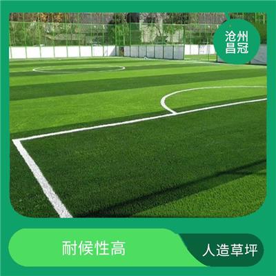 重庆彩虹人造草坪供应 日常维护简单 绒密度高