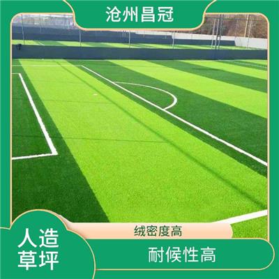 重庆彩虹人造草坪电话 抗老化 耐磨 耐候性高