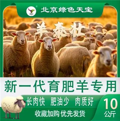 羊泰壮:改善肉羊体型，养殖收益翻番不是梦!
