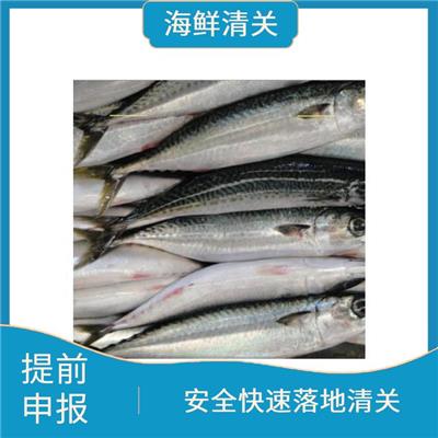 海鲜进口许可证的办理 盐田蛇口48小时通关 泰国龙虾进口代理