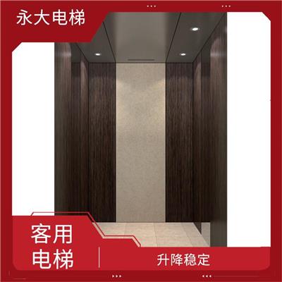 邵阳小机房乘客电梯厂家 空间利用率高 结构简单