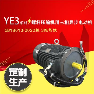 老型号YE2 250M2T3-55kW立卧式压缩机驱动电机新款YE3/YE4/YE5系列替代