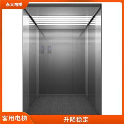湖南HIQ系列电梯供应 结构简单