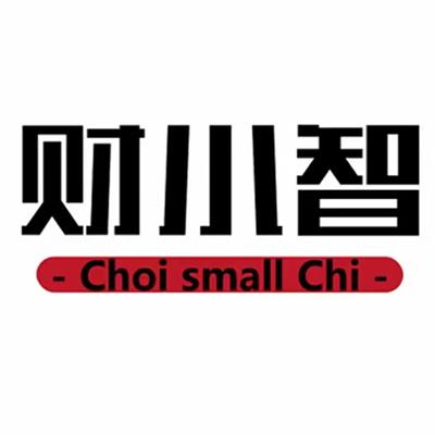 財小智（杭州）財稅服務有限公司