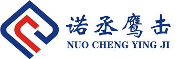 深圳市諾丞鷹擊科技有限公司
