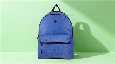 國產(chǎn)雙肩包加工 上海碳卓峰環(huán)保科技供應(yīng)