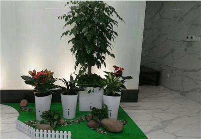 番禺区花卉租赁时长