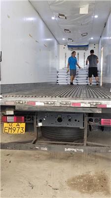 优质水培大麦牧草种子厂家直供无中间商